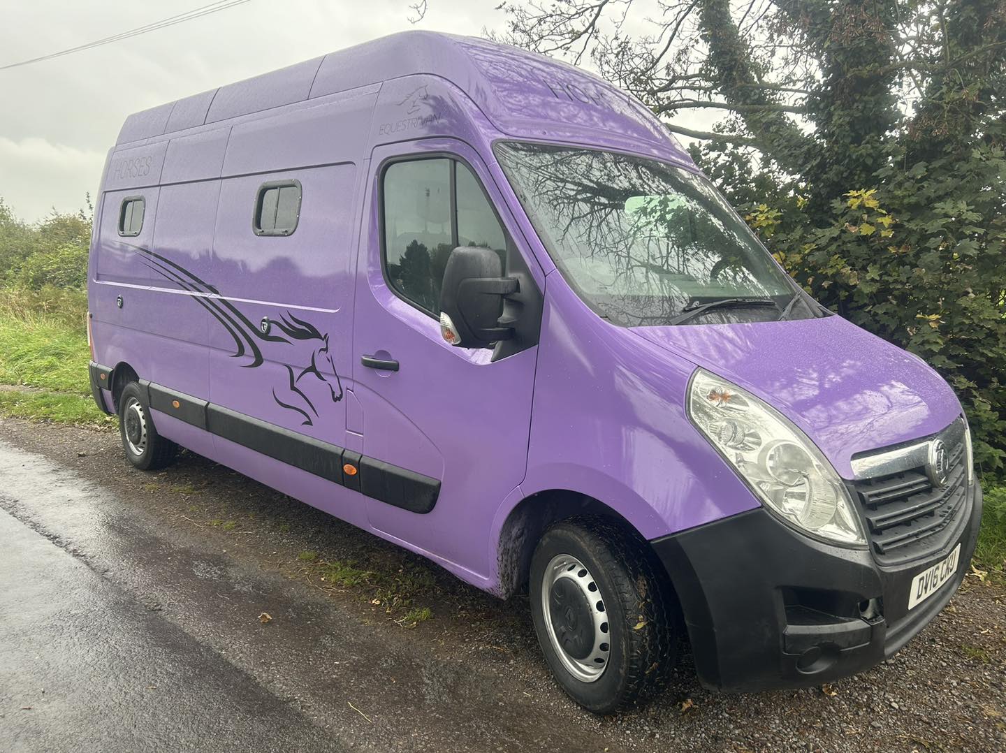 New Build Horseboxes For Sale - Horse Vans